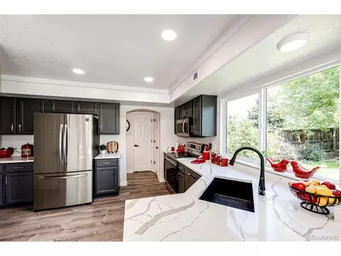 4054 Malta St, Denver, CO 80249 photo 10
