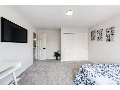 4054 Malta St, Denver, CO 80249 photo 28