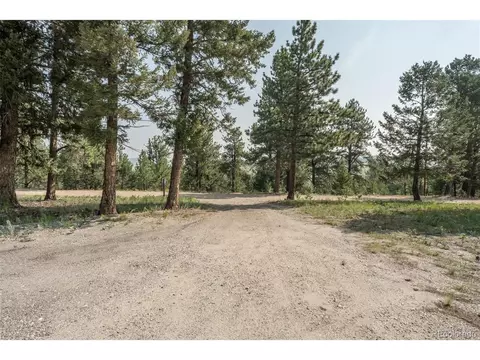 Undisclosed, Hartsel, CO 80449 photo 37