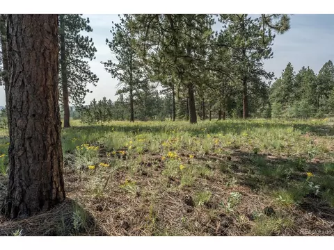 Undisclosed, Hartsel, CO 80449 photo 36