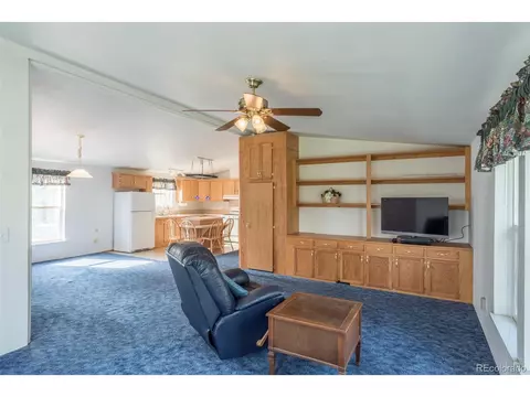 Undisclosed, Hartsel, CO 80449 photo 28