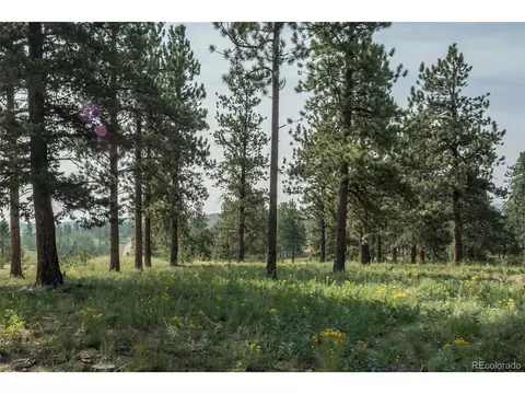 Undisclosed, Hartsel, CO 80449 photo 4