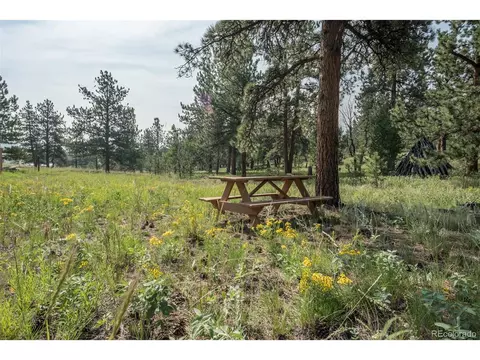 Undisclosed, Hartsel, CO 80449 photo 7