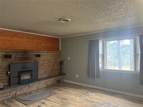 Living - 63 Fitzsimmons Rd, Bailey, CO 80421 photo 3 of 5