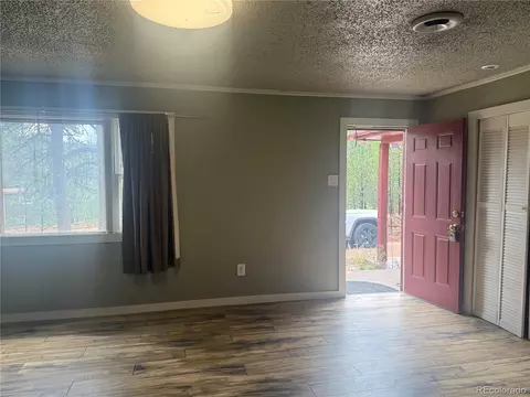 Living - 63 Fitzsimmons Rd, Bailey, CO 80421 photo 2 of 5
