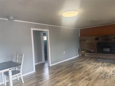 Living - 63 Fitzsimmons Rd, Bailey, CO 80421 photo 5 of 5