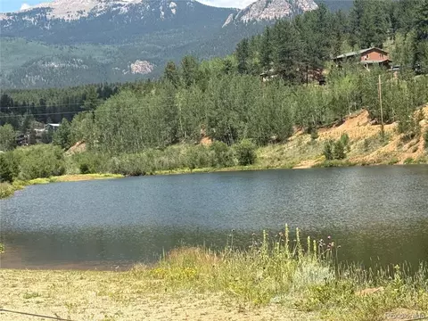 View/Area - 63 Fitzsimmons Rd, Bailey, CO 80421 photo 1 of 1