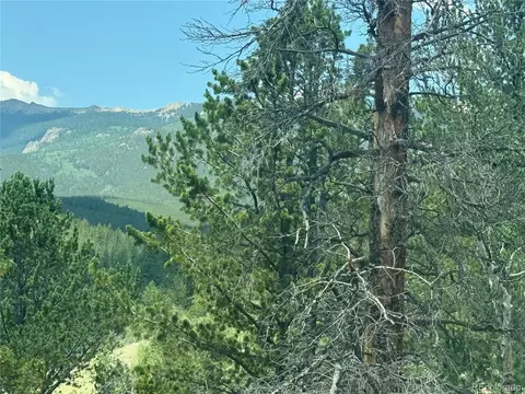 Other - 63 Fitzsimmons Rd, Bailey, CO 80421 photo 2 of 10