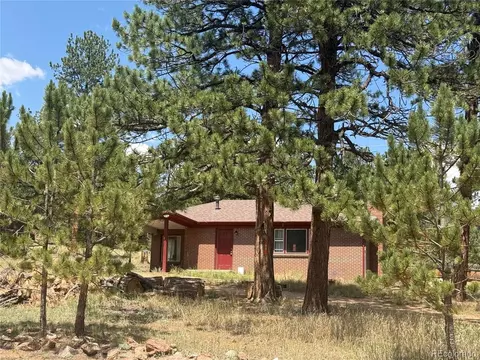 63 Fitzsimmons Rd, Bailey, CO 80421