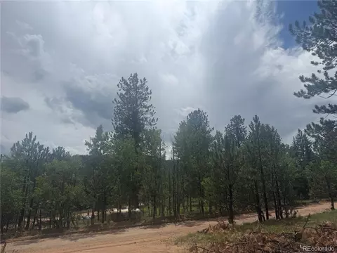 Other - 63 Fitzsimmons Rd, Bailey, CO 80421 photo 10 of 10