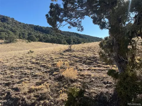 13 Colorado Land Grazing, Gardner, CO 81040 photo 12