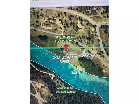 43 Forest Ridge Cir, Bailey, CO 80421 photo 43