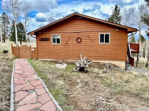1931 Pitchfork Rd, Hartsel, CO 80449 photo 27
