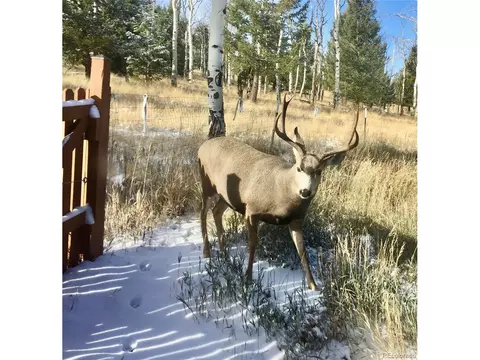 1931 Pitchfork Rd, Hartsel, CO 80449 photo 39