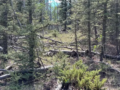 1226 Apache Trl, Jefferson, CO 80456 photo 7