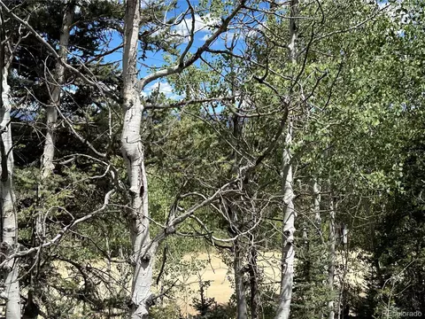 1226 Apache Trl, Jefferson, CO 80456 photo 11