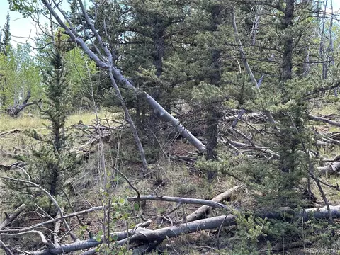 1226 Apache Trl, Jefferson, CO 80456 photo 14