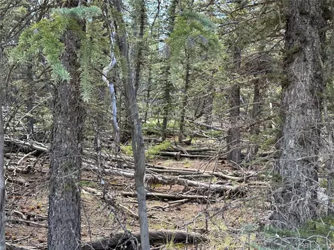 1226 Apache Trl, Jefferson, CO 80456 photo 13