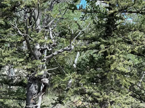 1226 Apache Trl, Jefferson, CO 80456 photo 10