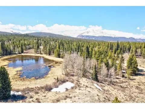 57 Bennett Rd, Fairplay, CO 80449