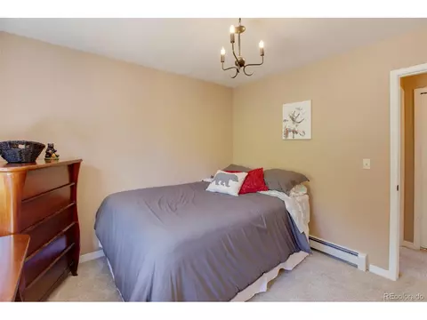 847 Ridge Rd, Divide, CO 80814 photo 39
