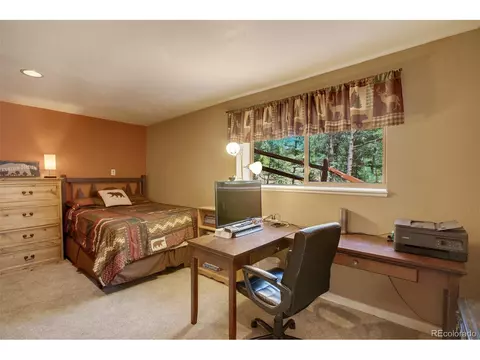 847 Ridge Rd, Divide, CO 80814 photo 43