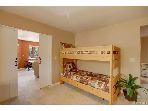 847 Ridge Rd, Divide, CO 80814 photo 42
