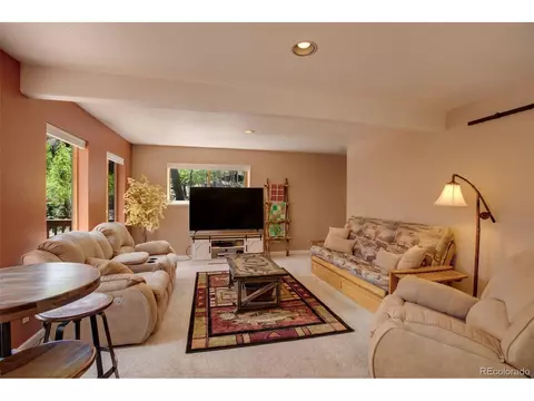 847 Ridge Rd, Divide, CO 80814 photo 16