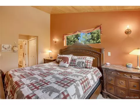 847 Ridge Rd, Divide, CO 80814 photo 33