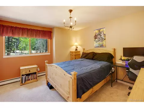 847 Ridge Rd, Divide, CO 80814 photo 37