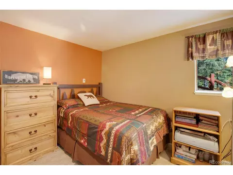847 Ridge Rd, Divide, CO 80814 photo 40