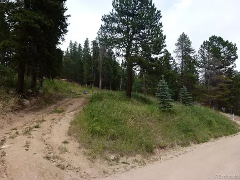1071 Mountain Meadows Dr, Black Hawk, CO 80422 photo 12