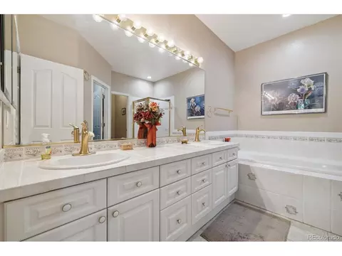 9805 Firestone Cir, Lone Tree, CO 80124 photo 23