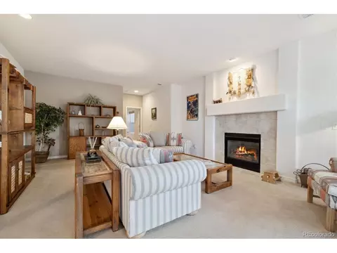9805 Firestone Cir, Lone Tree, CO 80124 photo 29