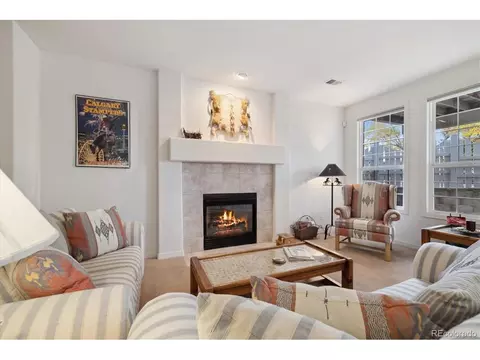 9805 Firestone Cir, Lone Tree, CO 80124 photo 28