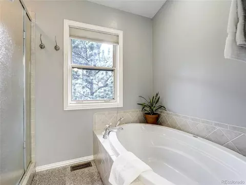 Bath - 4660 Hagerman Ave, Cascade, CO 80809 photo 3 of 7