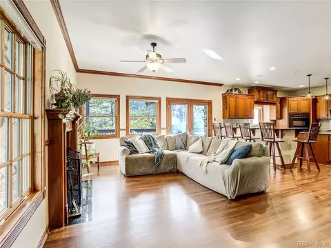 Living - 4660 Hagerman Ave, Cascade, CO 80809 photo 4 of 6