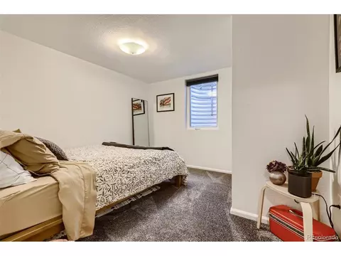 3071 Eudora St, Denver, CO 80207 photo 22