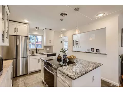 3071 Eudora St, Denver, CO 80207 photo 10
