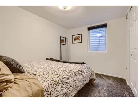 3071 Eudora St, Denver, CO 80207 photo 21