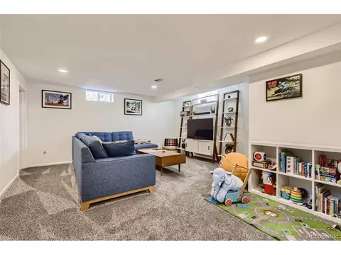 3071 Eudora St, Denver, CO 80207 photo 18