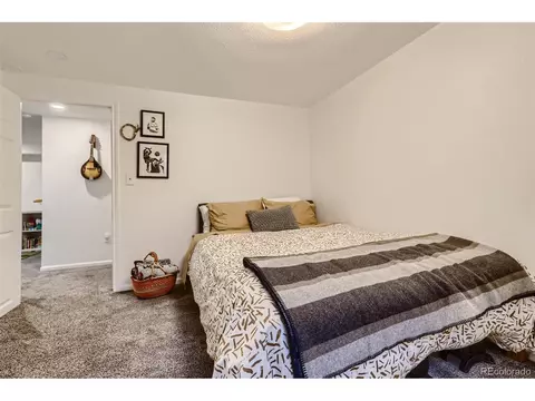 3071 Eudora St, Denver, CO 80207 photo 23