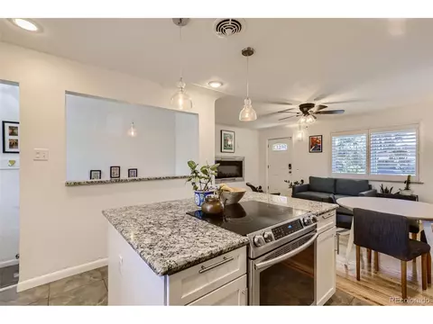 3071 Eudora St, Denver, CO 80207 photo 9