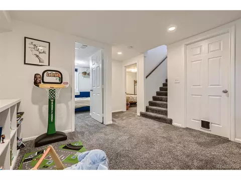 3071 Eudora St, Denver, CO 80207 photo 19