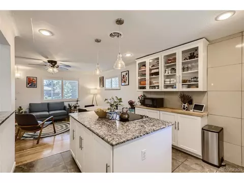 3071 Eudora St, Denver, CO 80207 photo 8