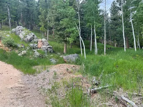 760 N Pine Dr, Bailey, CO 80421 photo 34