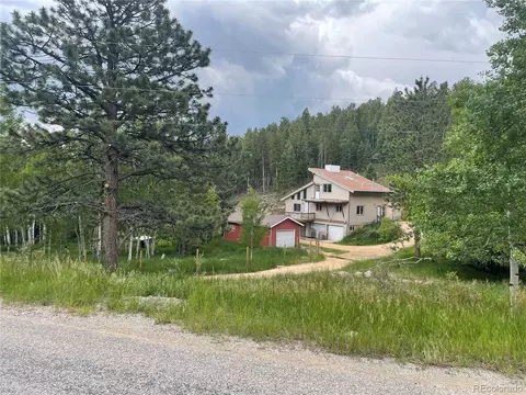 760 N Pine Dr, Bailey, CO 80421