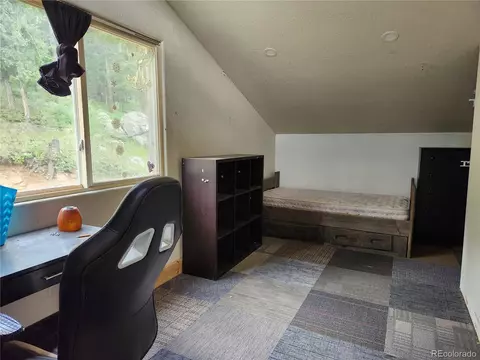 760 N Pine Dr, Bailey, CO 80421 photo 28