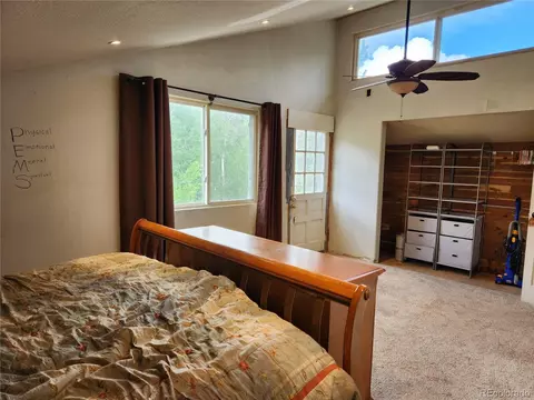 760 N Pine Dr, Bailey, CO 80421 photo 24