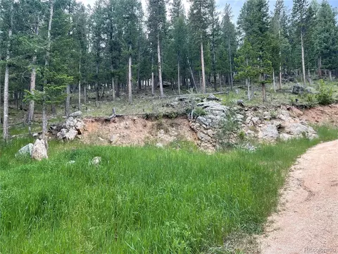 760 N Pine Dr, Bailey, CO 80421 photo 38